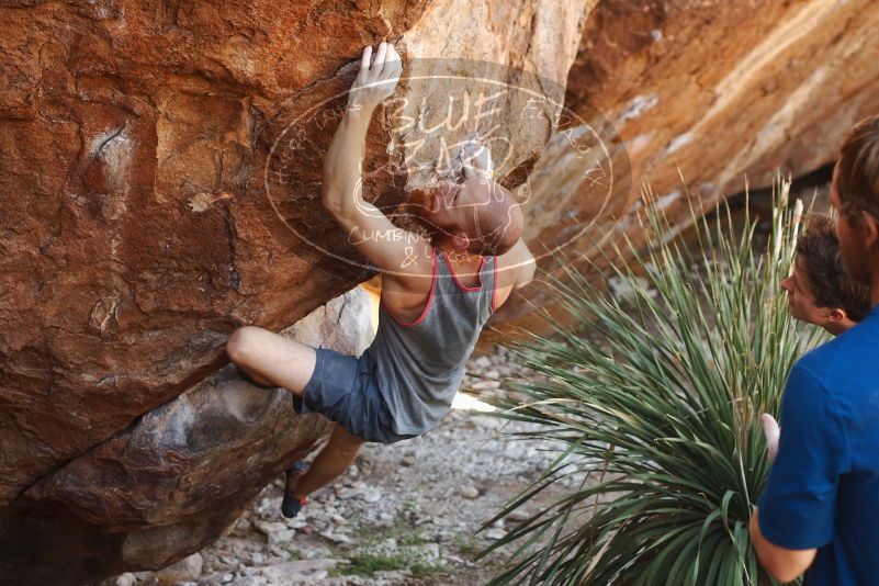 Bouldering in Hueco Tanks on 08/31/2019 with Blue Lizard Climbing and Yoga

Filename: SRM_20190831_1109560.jpg
Aperture: f/3.5
Shutter Speed: 1/200
Body: Canon EOS-1D Mark II
Lens: Canon EF 50mm f/1.8 II