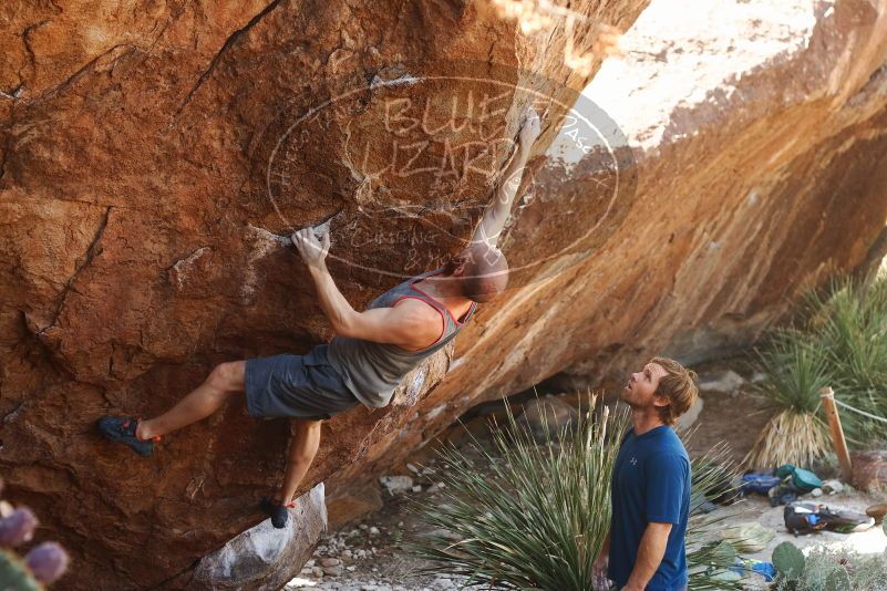 Bouldering in Hueco Tanks on 08/31/2019 with Blue Lizard Climbing and Yoga

Filename: SRM_20190831_1112590.jpg
Aperture: f/3.5
Shutter Speed: 1/400
Body: Canon EOS-1D Mark II
Lens: Canon EF 50mm f/1.8 II