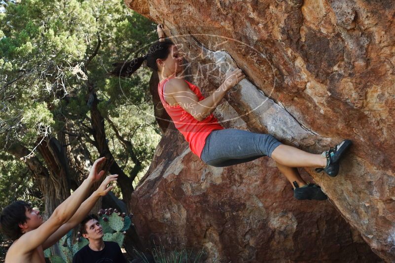 Bouldering in Hueco Tanks on 08/31/2019 with Blue Lizard Climbing and Yoga

Filename: SRM_20190831_1114300.jpg
Aperture: f/4.0
Shutter Speed: 1/640
Body: Canon EOS-1D Mark II
Lens: Canon EF 50mm f/1.8 II