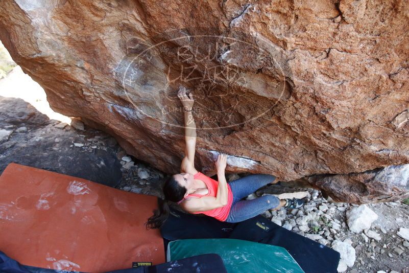 Bouldering in Hueco Tanks on 08/31/2019 with Blue Lizard Climbing and Yoga

Filename: SRM_20190831_1131570.jpg
Aperture: f/4.0
Shutter Speed: 1/250
Body: Canon EOS-1D Mark II
Lens: Canon EF 16-35mm f/2.8 L