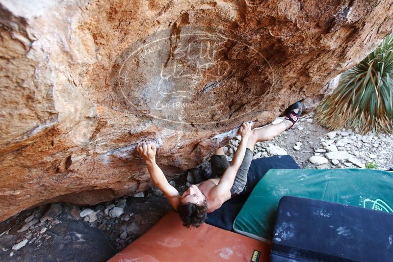 Bouldering in Hueco Tanks on 08/31/2019 with Blue Lizard Climbing and Yoga

Filename: SRM_20190831_1137070.jpg
Aperture: f/4.0
Shutter Speed: 1/200
Body: Canon EOS-1D Mark II
Lens: Canon EF 16-35mm f/2.8 L