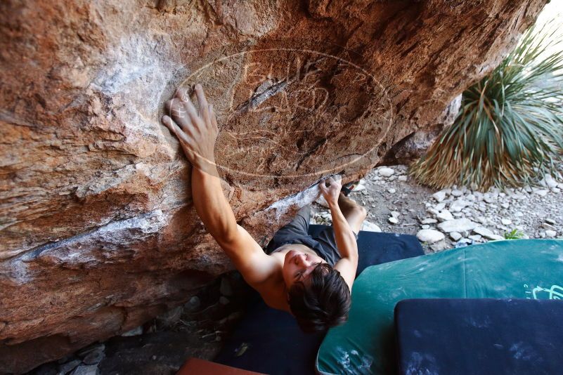 Bouldering in Hueco Tanks on 08/31/2019 with Blue Lizard Climbing and Yoga

Filename: SRM_20190831_1140420.jpg
Aperture: f/4.0
Shutter Speed: 1/250
Body: Canon EOS-1D Mark II
Lens: Canon EF 16-35mm f/2.8 L