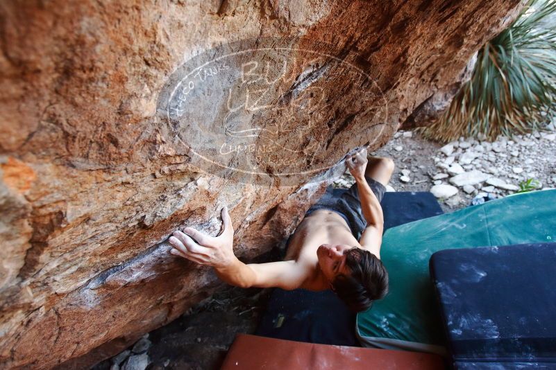 Bouldering in Hueco Tanks on 08/31/2019 with Blue Lizard Climbing and Yoga

Filename: SRM_20190831_1144190.jpg
Aperture: f/4.0
Shutter Speed: 1/250
Body: Canon EOS-1D Mark II
Lens: Canon EF 16-35mm f/2.8 L