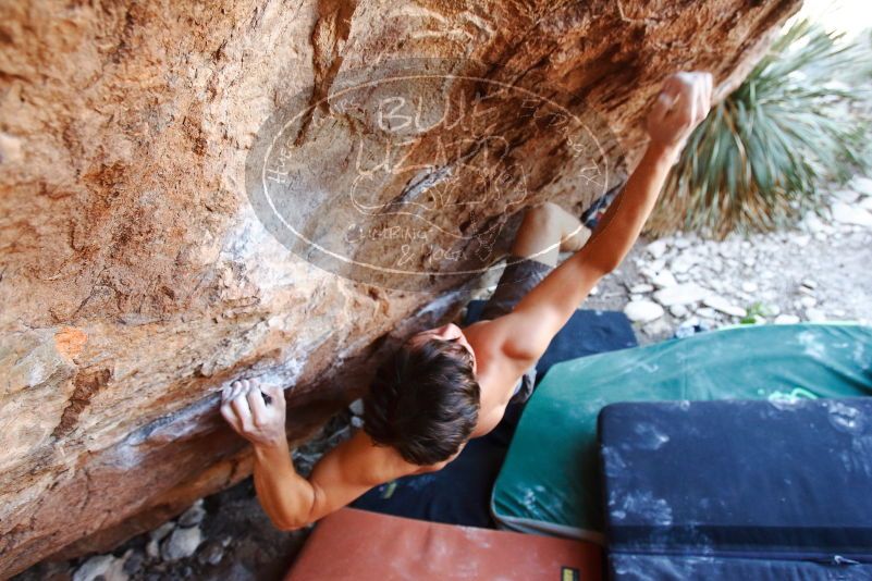 Bouldering in Hueco Tanks on 08/31/2019 with Blue Lizard Climbing and Yoga

Filename: SRM_20190831_1144230.jpg
Aperture: f/4.0
Shutter Speed: 1/200
Body: Canon EOS-1D Mark II
Lens: Canon EF 16-35mm f/2.8 L