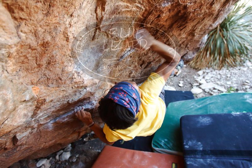 Bouldering in Hueco Tanks on 08/31/2019 with Blue Lizard Climbing and Yoga

Filename: SRM_20190831_1147211.jpg
Aperture: f/4.0
Shutter Speed: 1/200
Body: Canon EOS-1D Mark II
Lens: Canon EF 16-35mm f/2.8 L