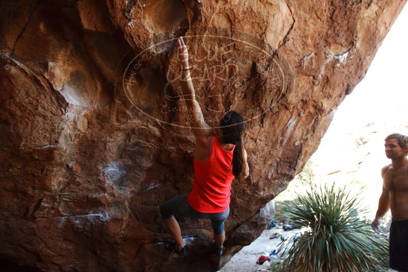 Bouldering in Hueco Tanks on 08/31/2019 with Blue Lizard Climbing and Yoga

Filename: SRM_20190831_1151540.jpg
Aperture: f/4.0
Shutter Speed: 1/500
Body: Canon EOS-1D Mark II
Lens: Canon EF 16-35mm f/2.8 L