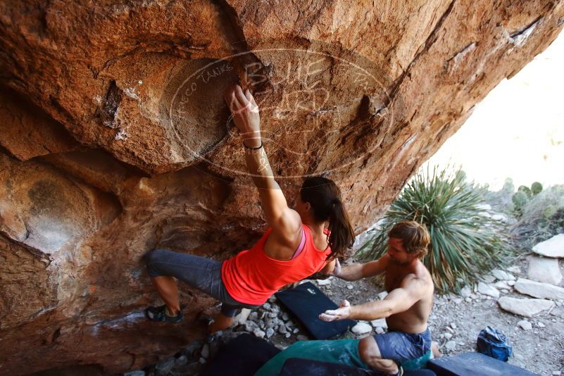 Bouldering in Hueco Tanks on 08/31/2019 with Blue Lizard Climbing and Yoga

Filename: SRM_20190831_1152260.jpg
Aperture: f/4.0
Shutter Speed: 1/400
Body: Canon EOS-1D Mark II
Lens: Canon EF 16-35mm f/2.8 L