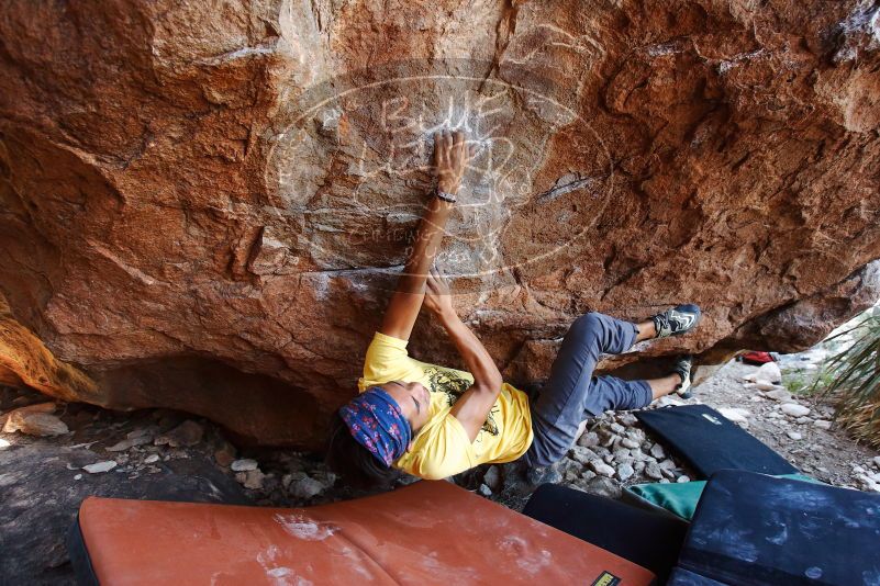 Bouldering in Hueco Tanks on 08/31/2019 with Blue Lizard Climbing and Yoga

Filename: SRM_20190831_1157430.jpg
Aperture: f/4.0
Shutter Speed: 1/200
Body: Canon EOS-1D Mark II
Lens: Canon EF 16-35mm f/2.8 L