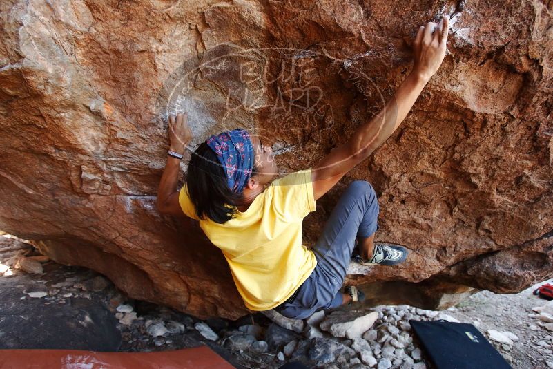 Bouldering in Hueco Tanks on 08/31/2019 with Blue Lizard Climbing and Yoga

Filename: SRM_20190831_1157460.jpg
Aperture: f/4.0
Shutter Speed: 1/200
Body: Canon EOS-1D Mark II
Lens: Canon EF 16-35mm f/2.8 L