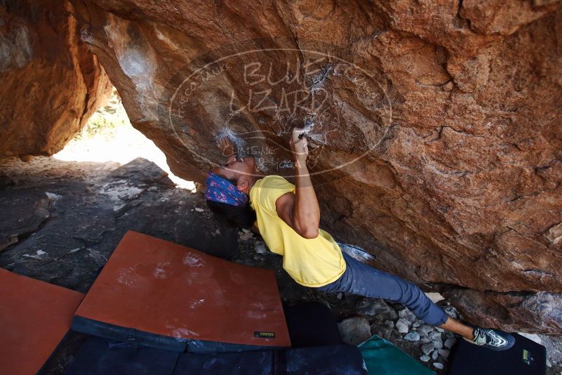 Bouldering in Hueco Tanks on 08/31/2019 with Blue Lizard Climbing and Yoga

Filename: SRM_20190831_1157500.jpg
Aperture: f/4.0
Shutter Speed: 1/400
Body: Canon EOS-1D Mark II
Lens: Canon EF 16-35mm f/2.8 L