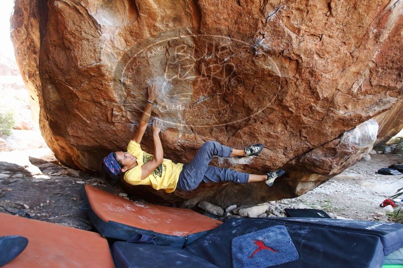 Bouldering in Hueco Tanks on 08/31/2019 with Blue Lizard Climbing and Yoga

Filename: SRM_20190831_1217440.jpg
Aperture: f/4.0
Shutter Speed: 1/320
Body: Canon EOS-1D Mark II
Lens: Canon EF 16-35mm f/2.8 L