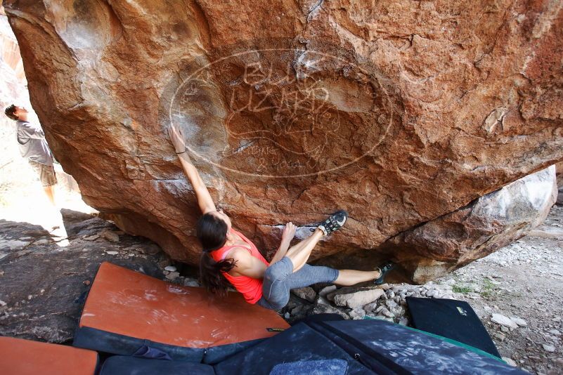 Bouldering in Hueco Tanks on 08/31/2019 with Blue Lizard Climbing and Yoga

Filename: SRM_20190831_1224430.jpg
Aperture: f/4.0
Shutter Speed: 1/250
Body: Canon EOS-1D Mark II
Lens: Canon EF 16-35mm f/2.8 L