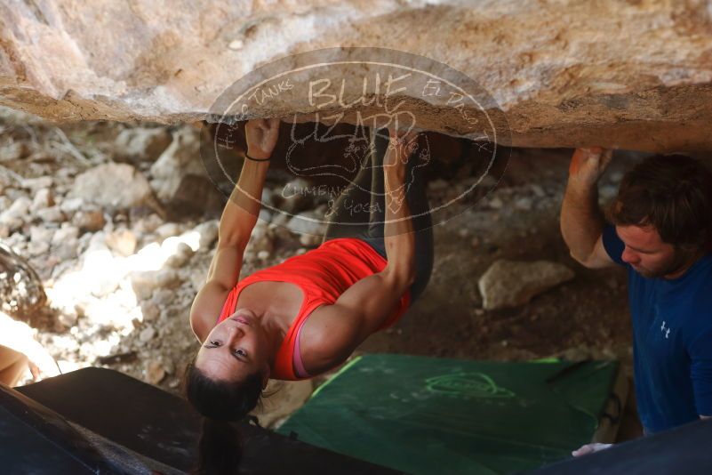 Bouldering in Hueco Tanks on 08/31/2019 with Blue Lizard Climbing and Yoga

Filename: SRM_20190831_1317010.jpg
Aperture: f/2.8
Shutter Speed: 1/250
Body: Canon EOS-1D Mark II
Lens: Canon EF 50mm f/1.8 II