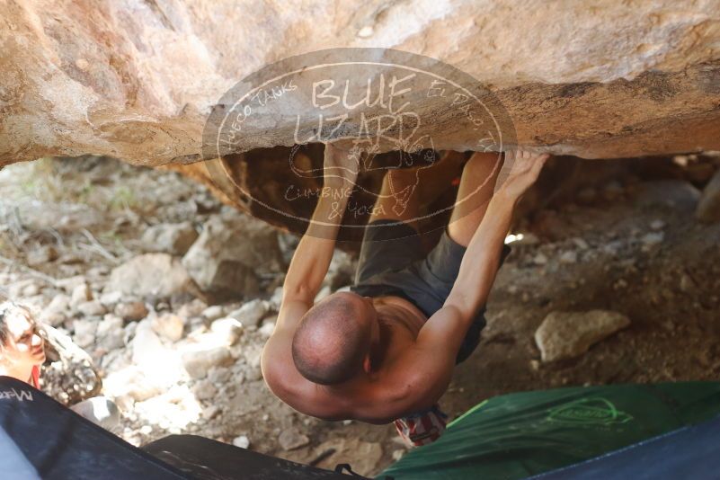 Bouldering in Hueco Tanks on 08/31/2019 with Blue Lizard Climbing and Yoga

Filename: SRM_20190831_1327580.jpg
Aperture: f/2.8
Shutter Speed: 1/320
Body: Canon EOS-1D Mark II
Lens: Canon EF 50mm f/1.8 II