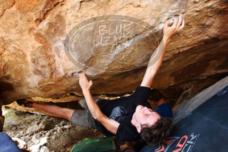 Bouldering in Hueco Tanks on 08/31/2019 with Blue Lizard Climbing and Yoga

Filename: SRM_20190831_1353490.jpg
Aperture: f/4.0
Shutter Speed: 1/160
Body: Canon EOS-1D Mark II
Lens: Canon EF 16-35mm f/2.8 L