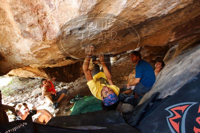 Bouldering in Hueco Tanks on 08/31/2019 with Blue Lizard Climbing and Yoga

Filename: SRM_20190831_1357570.jpg
Aperture: f/4.0
Shutter Speed: 1/125
Body: Canon EOS-1D Mark II
Lens: Canon EF 16-35mm f/2.8 L