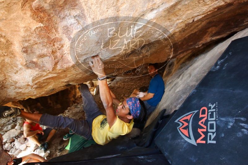 Bouldering in Hueco Tanks on 08/31/2019 with Blue Lizard Climbing and Yoga

Filename: SRM_20190831_1358020.jpg
Aperture: f/4.0
Shutter Speed: 1/125
Body: Canon EOS-1D Mark II
Lens: Canon EF 16-35mm f/2.8 L