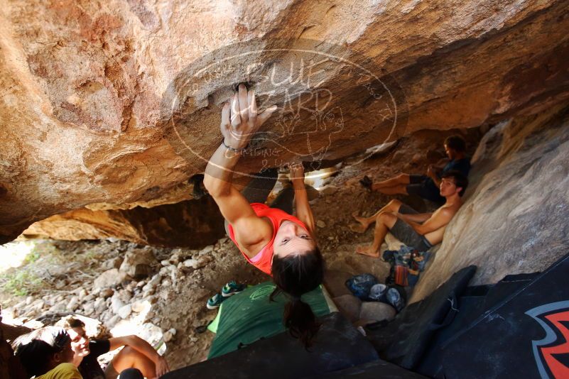 Bouldering in Hueco Tanks on 08/31/2019 with Blue Lizard Climbing and Yoga

Filename: SRM_20190831_1359150.jpg
Aperture: f/4.0
Shutter Speed: 1/125
Body: Canon EOS-1D Mark II
Lens: Canon EF 16-35mm f/2.8 L