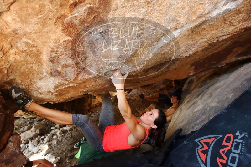 Bouldering in Hueco Tanks on 08/31/2019 with Blue Lizard Climbing and Yoga

Filename: SRM_20190831_1359190.jpg
Aperture: f/4.0
Shutter Speed: 1/160
Body: Canon EOS-1D Mark II
Lens: Canon EF 16-35mm f/2.8 L