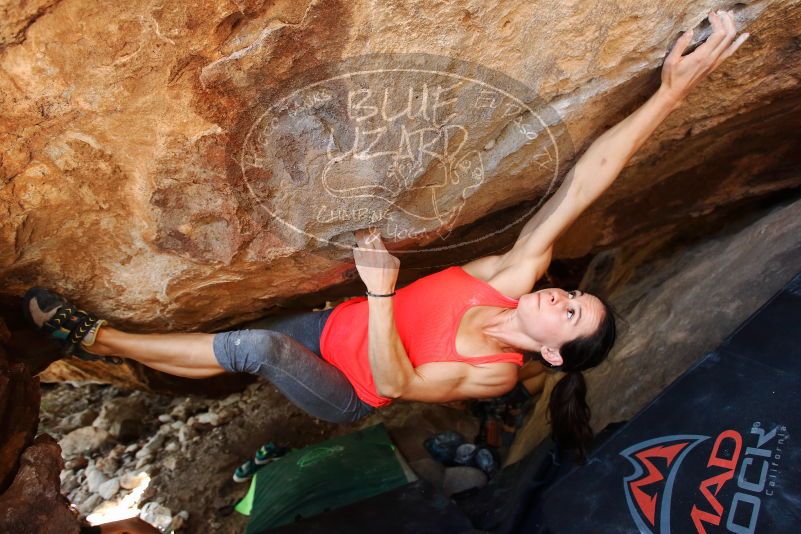 Bouldering in Hueco Tanks on 08/31/2019 with Blue Lizard Climbing and Yoga

Filename: SRM_20190831_1359212.jpg
Aperture: f/4.0
Shutter Speed: 1/250
Body: Canon EOS-1D Mark II
Lens: Canon EF 16-35mm f/2.8 L