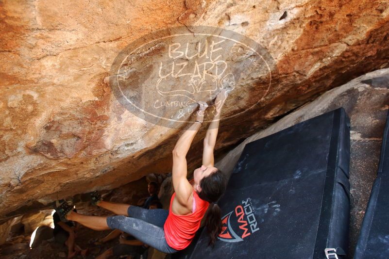 Bouldering in Hueco Tanks on 08/31/2019 with Blue Lizard Climbing and Yoga

Filename: SRM_20190831_1402460.jpg
Aperture: f/4.0
Shutter Speed: 1/250
Body: Canon EOS-1D Mark II
Lens: Canon EF 16-35mm f/2.8 L