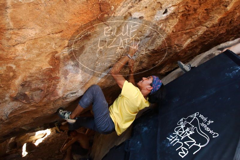 Bouldering in Hueco Tanks on 08/31/2019 with Blue Lizard Climbing and Yoga

Filename: SRM_20190831_1408141.jpg
Aperture: f/4.0
Shutter Speed: 1/320
Body: Canon EOS-1D Mark II
Lens: Canon EF 16-35mm f/2.8 L