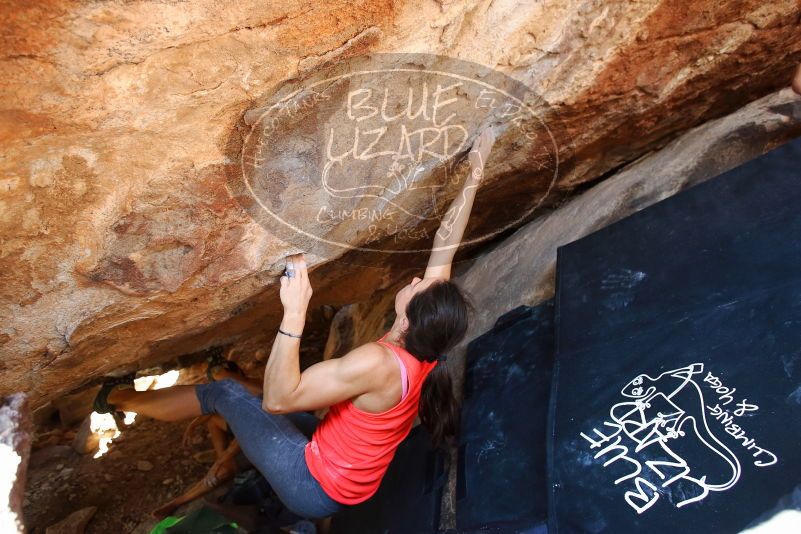 Bouldering in Hueco Tanks on 08/31/2019 with Blue Lizard Climbing and Yoga

Filename: SRM_20190831_1414440.jpg
Aperture: f/4.0
Shutter Speed: 1/200
Body: Canon EOS-1D Mark II
Lens: Canon EF 16-35mm f/2.8 L