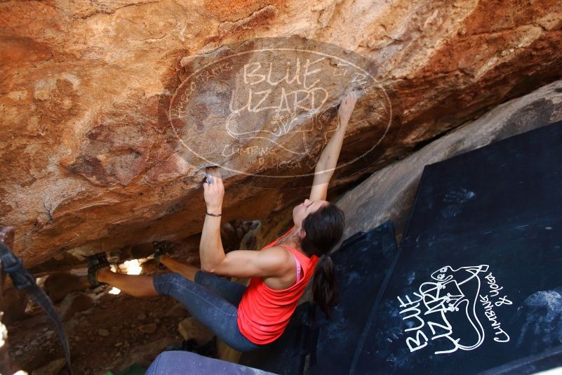 Bouldering in Hueco Tanks on 08/31/2019 with Blue Lizard Climbing and Yoga

Filename: SRM_20190831_1427520.jpg
Aperture: f/4.0
Shutter Speed: 1/200
Body: Canon EOS-1D Mark II
Lens: Canon EF 16-35mm f/2.8 L