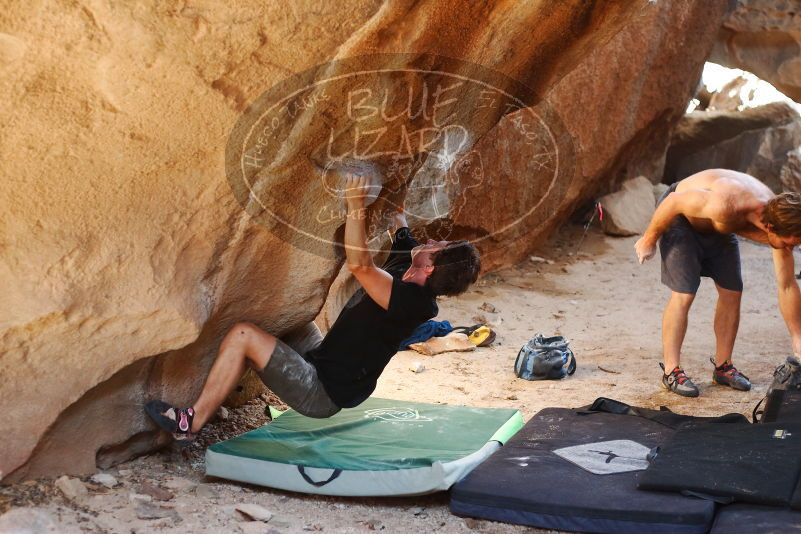 Bouldering in Hueco Tanks on 08/31/2019 with Blue Lizard Climbing and Yoga

Filename: SRM_20190831_1625120.jpg
Aperture: f/2.8
Shutter Speed: 1/200
Body: Canon EOS-1D Mark II
Lens: Canon EF 50mm f/1.8 II