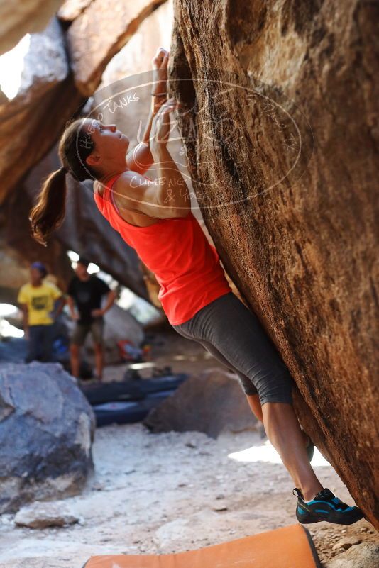 Bouldering in Hueco Tanks on 08/31/2019 with Blue Lizard Climbing and Yoga

Filename: SRM_20190831_1627520.jpg
Aperture: f/2.8
Shutter Speed: 1/400
Body: Canon EOS-1D Mark II
Lens: Canon EF 50mm f/1.8 II