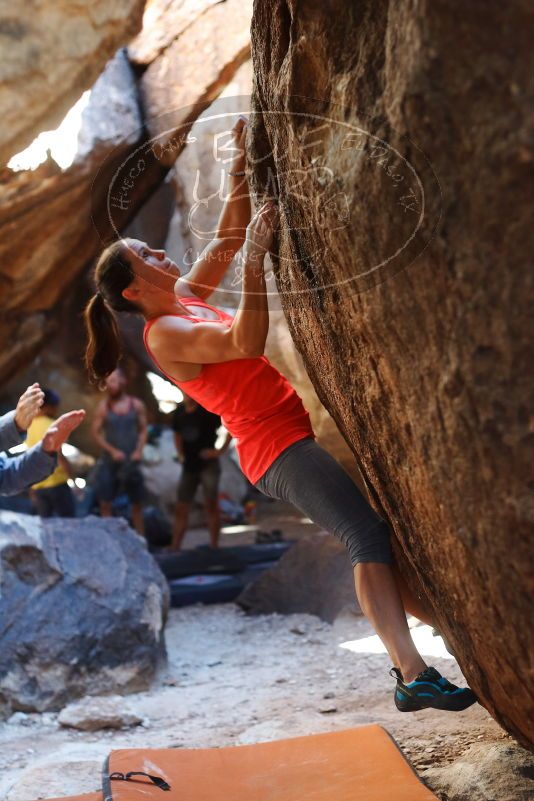 Bouldering in Hueco Tanks on 08/31/2019 with Blue Lizard Climbing and Yoga

Filename: SRM_20190831_1629200.jpg
Aperture: f/2.8
Shutter Speed: 1/400
Body: Canon EOS-1D Mark II
Lens: Canon EF 50mm f/1.8 II