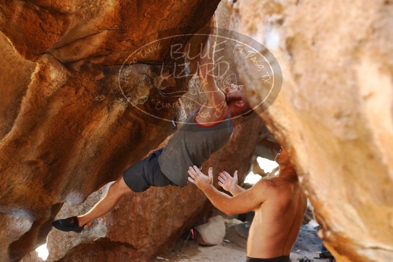 Bouldering in Hueco Tanks on 08/31/2019 with Blue Lizard Climbing and Yoga

Filename: SRM_20190831_1638000.jpg
Aperture: f/2.8
Shutter Speed: 1/200
Body: Canon EOS-1D Mark II
Lens: Canon EF 50mm f/1.8 II