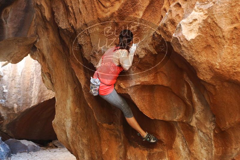 Bouldering in Hueco Tanks on 08/31/2019 with Blue Lizard Climbing and Yoga

Filename: SRM_20190831_1727390.jpg
Aperture: f/2.8
Shutter Speed: 1/250
Body: Canon EOS-1D Mark II
Lens: Canon EF 50mm f/1.8 II