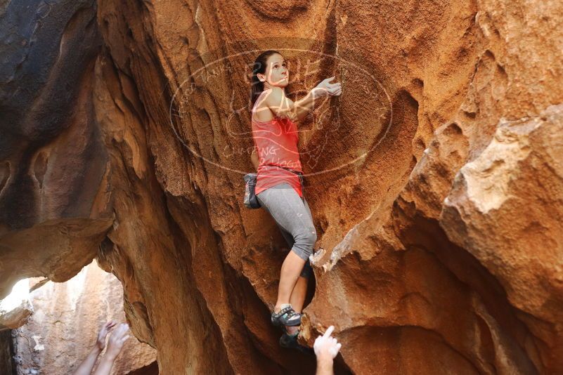 Bouldering in Hueco Tanks on 08/31/2019 with Blue Lizard Climbing and Yoga

Filename: SRM_20190831_1728200.jpg
Aperture: f/2.8
Shutter Speed: 1/320
Body: Canon EOS-1D Mark II
Lens: Canon EF 50mm f/1.8 II