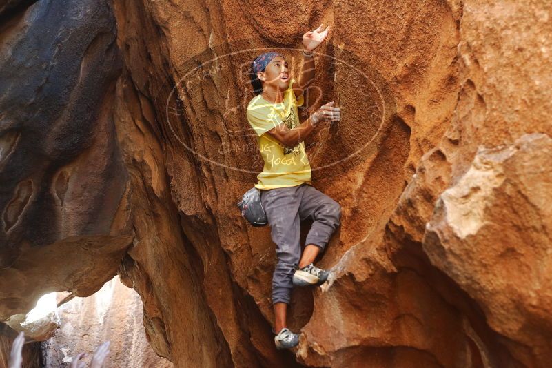 Bouldering in Hueco Tanks on 08/31/2019 with Blue Lizard Climbing and Yoga

Filename: SRM_20190831_1731150.jpg
Aperture: f/2.8
Shutter Speed: 1/320
Body: Canon EOS-1D Mark II
Lens: Canon EF 50mm f/1.8 II