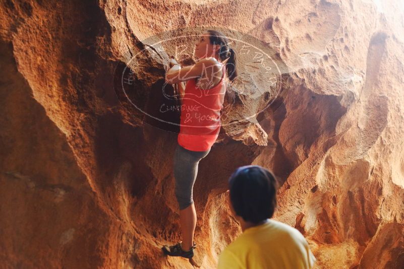 Bouldering in Hueco Tanks on 08/31/2019 with Blue Lizard Climbing and Yoga

Filename: SRM_20190831_1754320.jpg
Aperture: f/2.8
Shutter Speed: 1/125
Body: Canon EOS-1D Mark II
Lens: Canon EF 50mm f/1.8 II