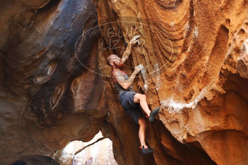 Bouldering in Hueco Tanks on 08/31/2019 with Blue Lizard Climbing and Yoga

Filename: SRM_20190831_1759040.jpg
Aperture: f/2.8
Shutter Speed: 1/160
Body: Canon EOS-1D Mark II
Lens: Canon EF 50mm f/1.8 II