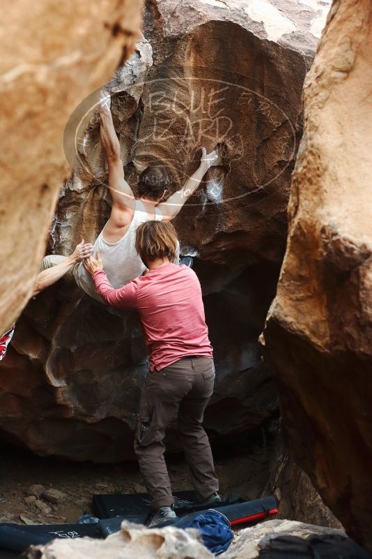 Bouldering in Hueco Tanks on 10/28/2019 with Blue Lizard Climbing and Yoga

Filename: SRM_20191028_1354190.jpg
Aperture: f/3.2
Shutter Speed: 1/250
Body: Canon EOS-1D Mark II
Lens: Canon EF 50mm f/1.8 II