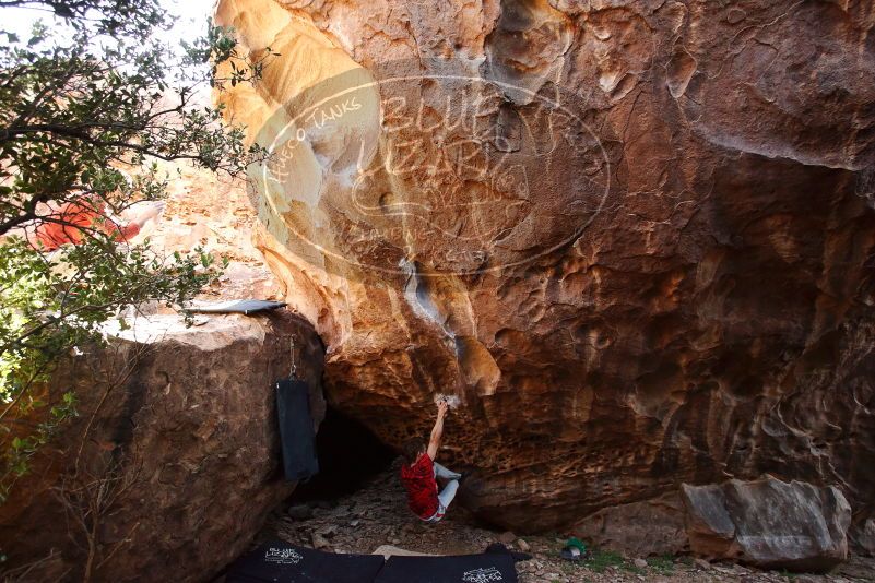 Bouldering in Hueco Tanks on 10/28/2019 with Blue Lizard Climbing and Yoga

Filename: SRM_20191028_1444460.jpg
Aperture: f/4.5
Shutter Speed: 1/250
Body: Canon EOS-1D Mark II
Lens: Canon EF 16-35mm f/2.8 L