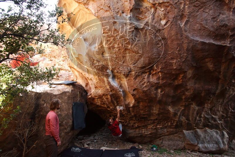 Bouldering in Hueco Tanks on 10/28/2019 with Blue Lizard Climbing and Yoga

Filename: SRM_20191028_1445170.jpg
Aperture: f/4.5
Shutter Speed: 1/250
Body: Canon EOS-1D Mark II
Lens: Canon EF 16-35mm f/2.8 L