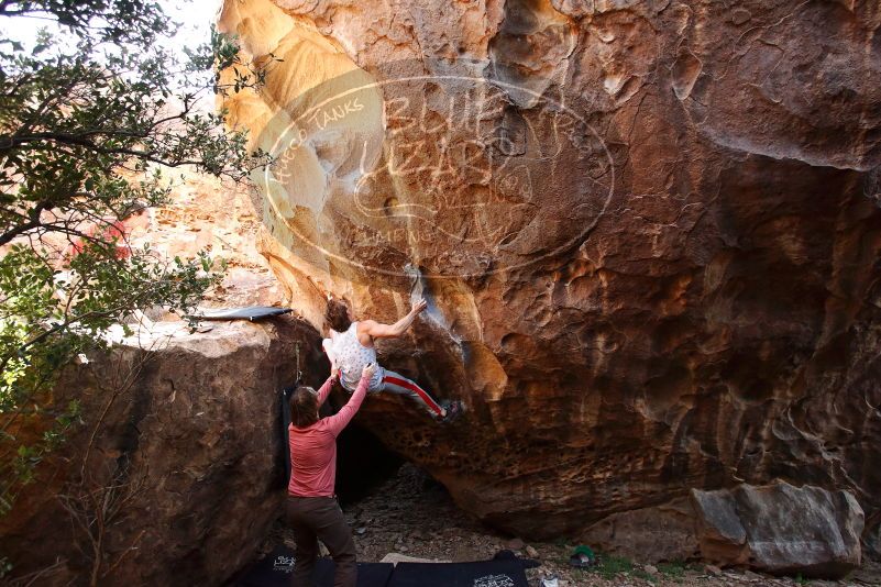 Bouldering in Hueco Tanks on 10/28/2019 with Blue Lizard Climbing and Yoga

Filename: SRM_20191028_1453300.jpg
Aperture: f/4.5
Shutter Speed: 1/250
Body: Canon EOS-1D Mark II
Lens: Canon EF 16-35mm f/2.8 L