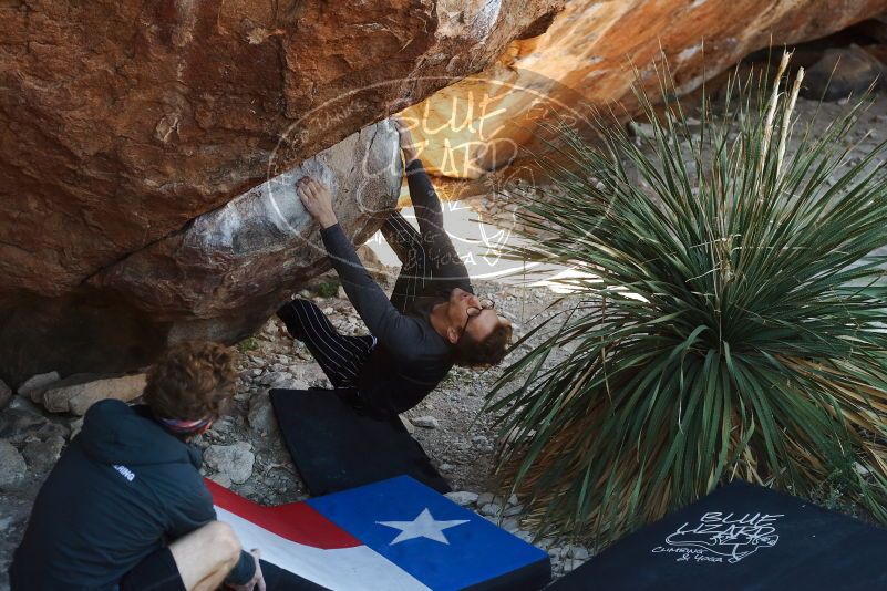 Bouldering in Hueco Tanks on 10/26/2019 with Blue Lizard Climbing and Yoga

Filename: SRM_20191026_1059200.jpg
Aperture: f/4.0
Shutter Speed: 1/400
Body: Canon EOS-1D Mark II
Lens: Canon EF 50mm f/1.8 II