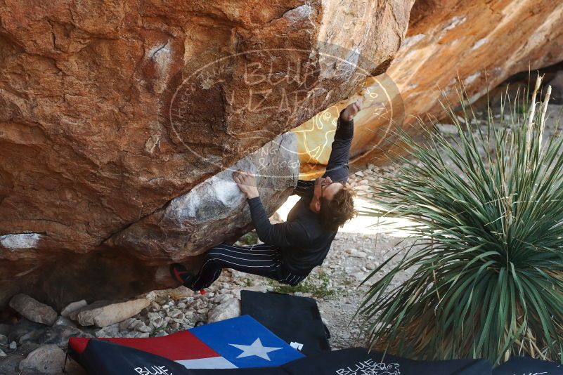 Bouldering in Hueco Tanks on 10/26/2019 with Blue Lizard Climbing and Yoga

Filename: SRM_20191026_1103510.jpg
Aperture: f/4.0
Shutter Speed: 1/400
Body: Canon EOS-1D Mark II
Lens: Canon EF 50mm f/1.8 II