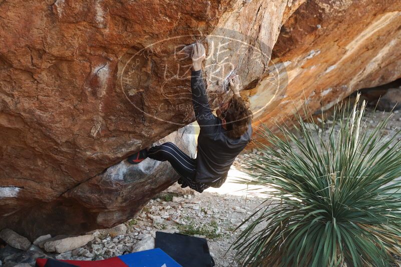 Bouldering in Hueco Tanks on 10/26/2019 with Blue Lizard Climbing and Yoga

Filename: SRM_20191026_1103570.jpg
Aperture: f/4.0
Shutter Speed: 1/160
Body: Canon EOS-1D Mark II
Lens: Canon EF 50mm f/1.8 II