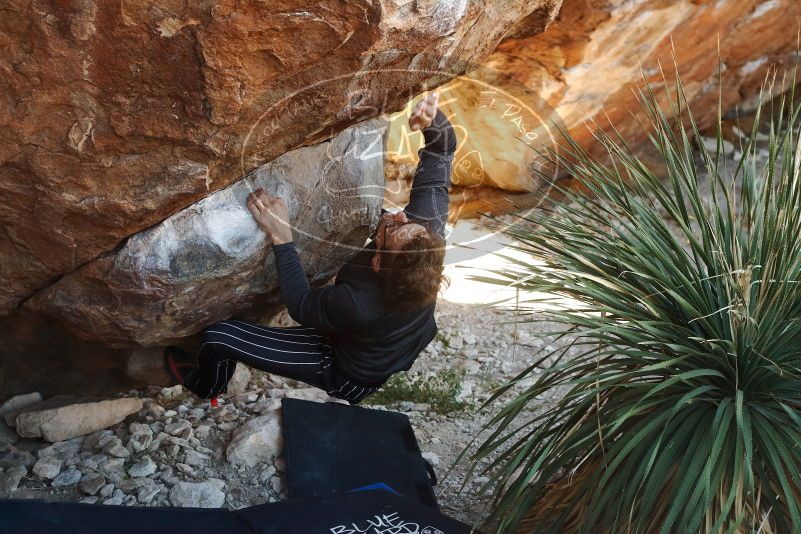 Bouldering in Hueco Tanks on 10/26/2019 with Blue Lizard Climbing and Yoga

Filename: SRM_20191026_1114090.jpg
Aperture: f/4.0
Shutter Speed: 1/400
Body: Canon EOS-1D Mark II
Lens: Canon EF 50mm f/1.8 II