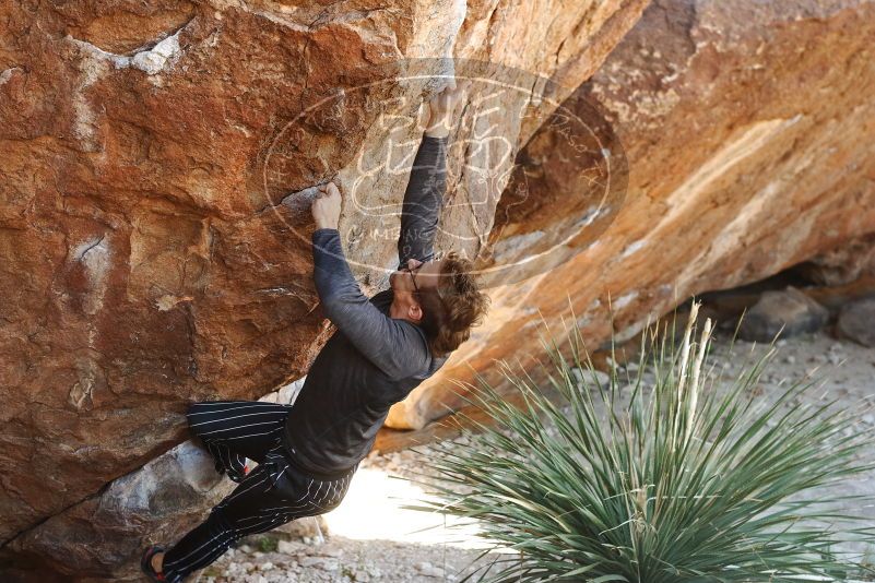 Bouldering in Hueco Tanks on 10/26/2019 with Blue Lizard Climbing and Yoga

Filename: SRM_20191026_1114200.jpg
Aperture: f/4.0
Shutter Speed: 1/250
Body: Canon EOS-1D Mark II
Lens: Canon EF 50mm f/1.8 II