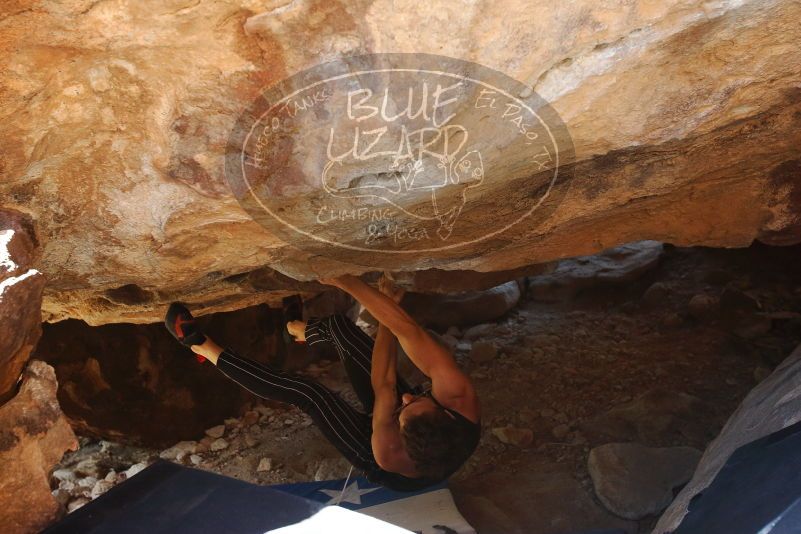 Bouldering in Hueco Tanks on 10/26/2019 with Blue Lizard Climbing and Yoga

Filename: SRM_20191026_1458500.jpg
Aperture: f/5.0
Shutter Speed: 1/200
Body: Canon EOS-1D Mark II
Lens: Canon EF 16-35mm f/2.8 L