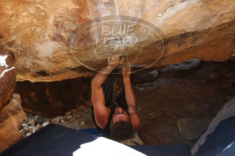 Bouldering in Hueco Tanks on 10/26/2019 with Blue Lizard Climbing and Yoga

Filename: SRM_20191026_1459020.jpg
Aperture: f/5.0
Shutter Speed: 1/200
Body: Canon EOS-1D Mark II
Lens: Canon EF 16-35mm f/2.8 L