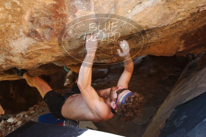 Bouldering in Hueco Tanks on 10/26/2019 with Blue Lizard Climbing and Yoga

Filename: SRM_20191026_1504480.jpg
Aperture: f/5.0
Shutter Speed: 1/200
Body: Canon EOS-1D Mark II
Lens: Canon EF 16-35mm f/2.8 L