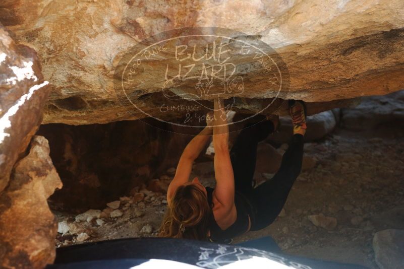 Bouldering in Hueco Tanks on 10/26/2019 with Blue Lizard Climbing and Yoga

Filename: SRM_20191026_1523300.jpg
Aperture: f/4.0
Shutter Speed: 1/250
Body: Canon EOS-1D Mark II
Lens: Canon EF 50mm f/1.8 II